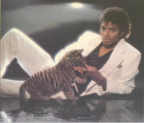 Michael Jackson