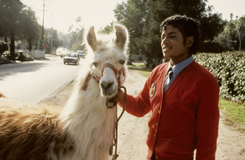 Michael Jackson