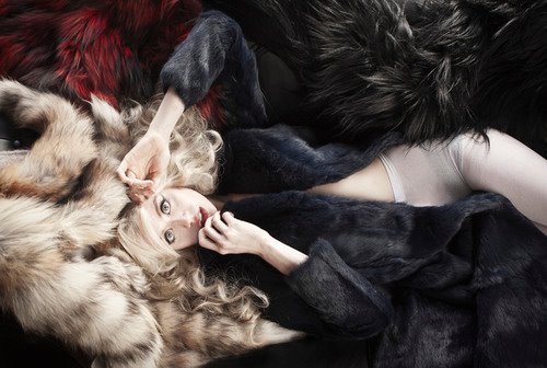 Allison Harvard Allison Harvard