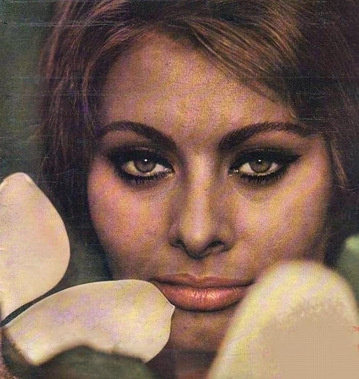 Sophia Loren Sophia Loren