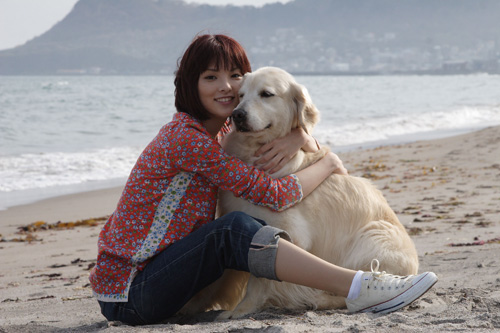 10 Promises to My Dog