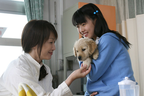 10 Promises to My Dog