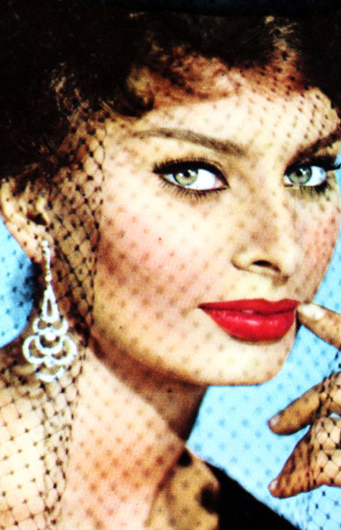 Sophia Loren Sophia Loren