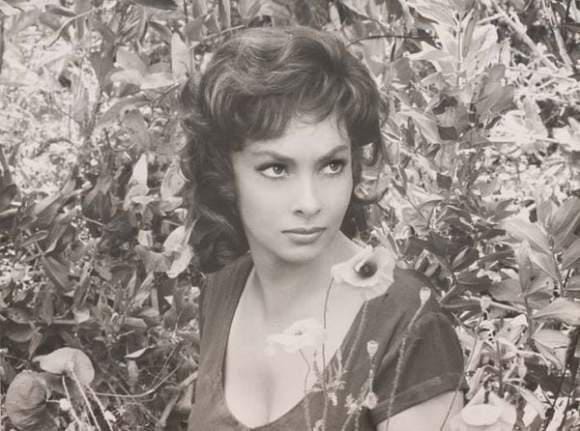 Picture of Gina Lollobrigida