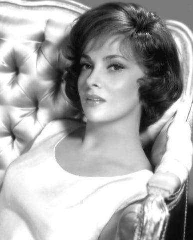 Gina Lollobrigida