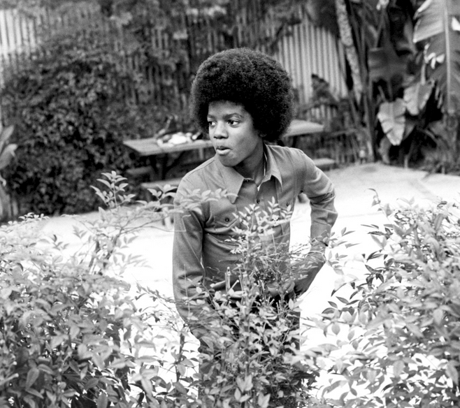 Michael Jackson