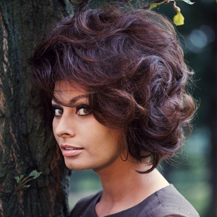 Sophia Loren