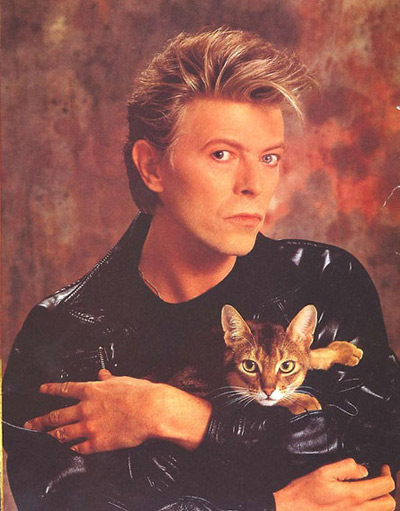 David Bowie David Bowie
