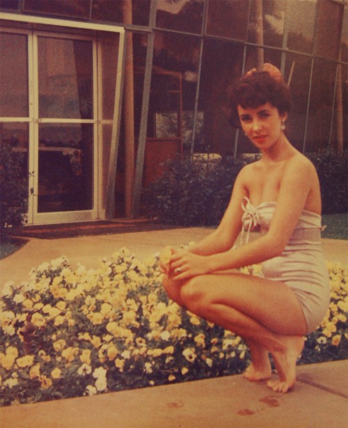 Elizabeth Taylor Elizabeth Taylor