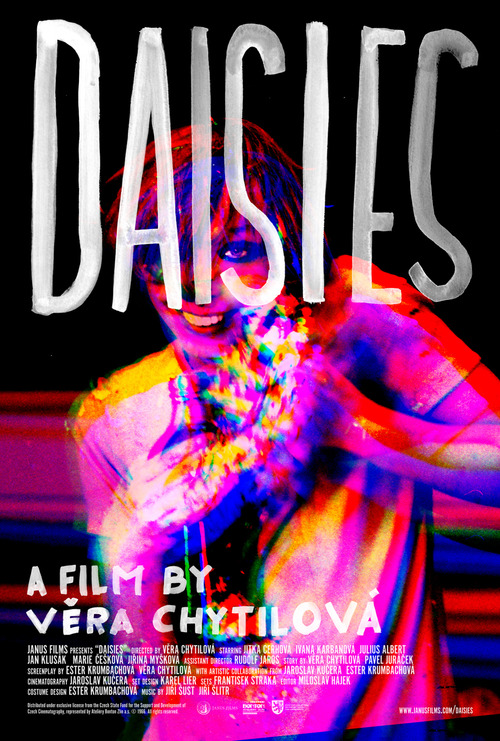 Daisies Daisies