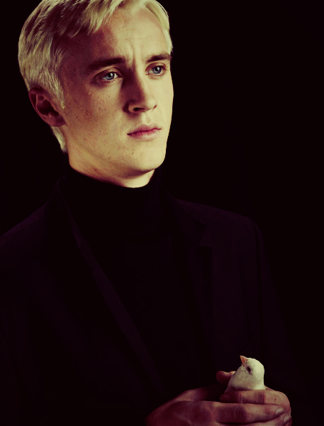 Tom Felton