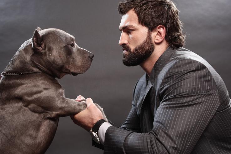 Andrei Arlovski