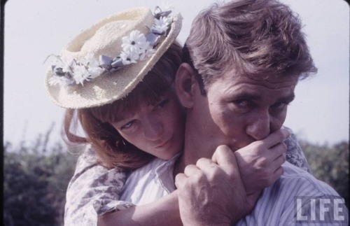 Maggie Smith Maggie Smith
