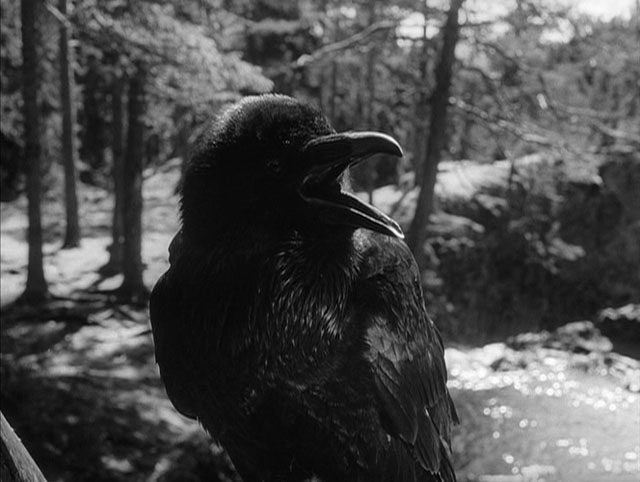 The Virgin Spring (1960) The Virgin Spring (1960)
