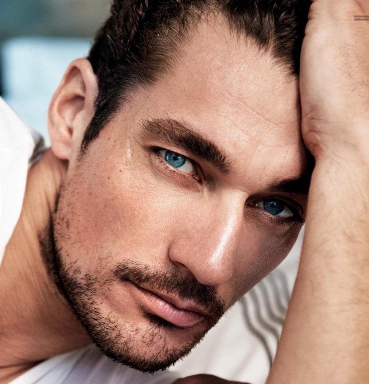 David Gandy