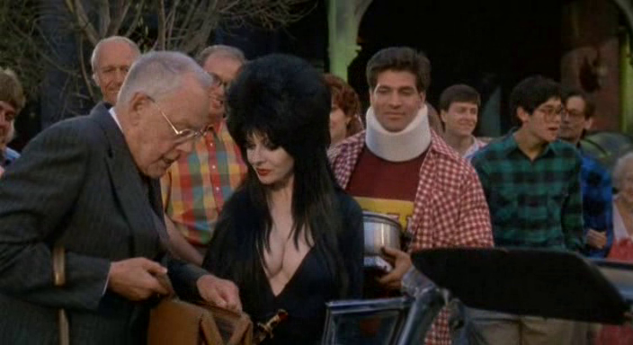 Elvira: Mistress of the Dark