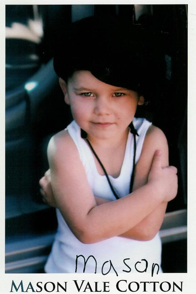 Picture of Mason Vale Cotton