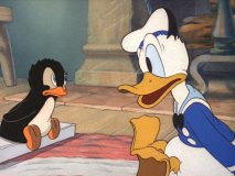 Donald's Penguin