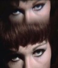 Venus in Furs