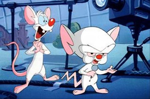 Pinky and the Brain