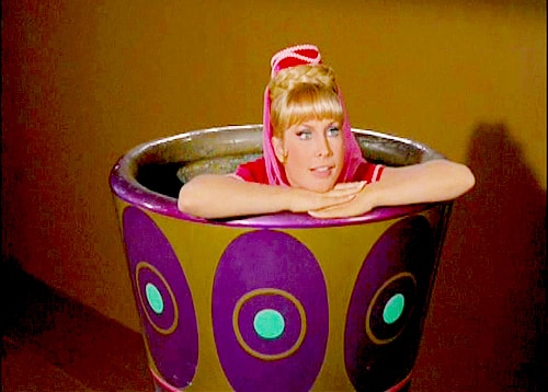 Barbara Eden