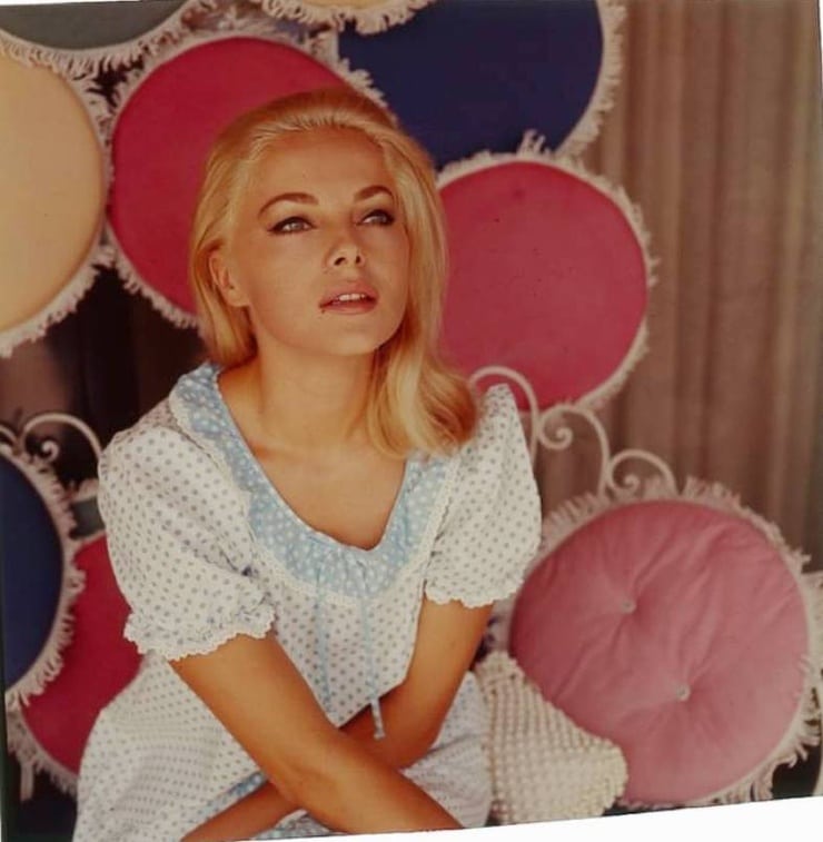 Virna Lisi Virna Lisi