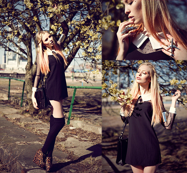 Lina Tesch