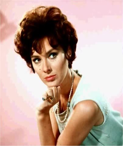 Sue Lloyd Sue Lloyd