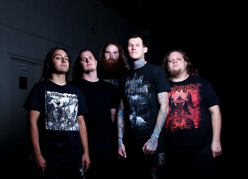 Carnifex