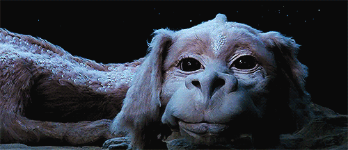 The NeverEnding Story