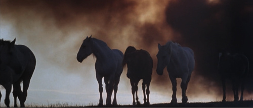 Days of Heaven