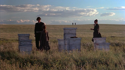Days of Heaven