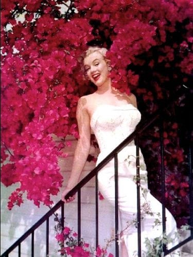 Marilyn Monroe