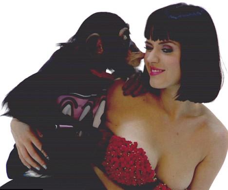 Katy Perry