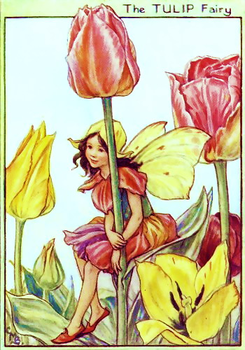 Cicely Mary Barker