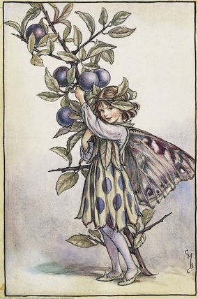 Cicely Mary Barker