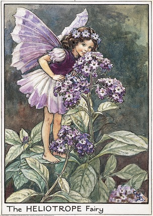 Cicely Mary Barker