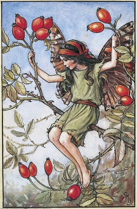 Cicely Mary Barker