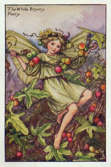 Cicely Mary Barker