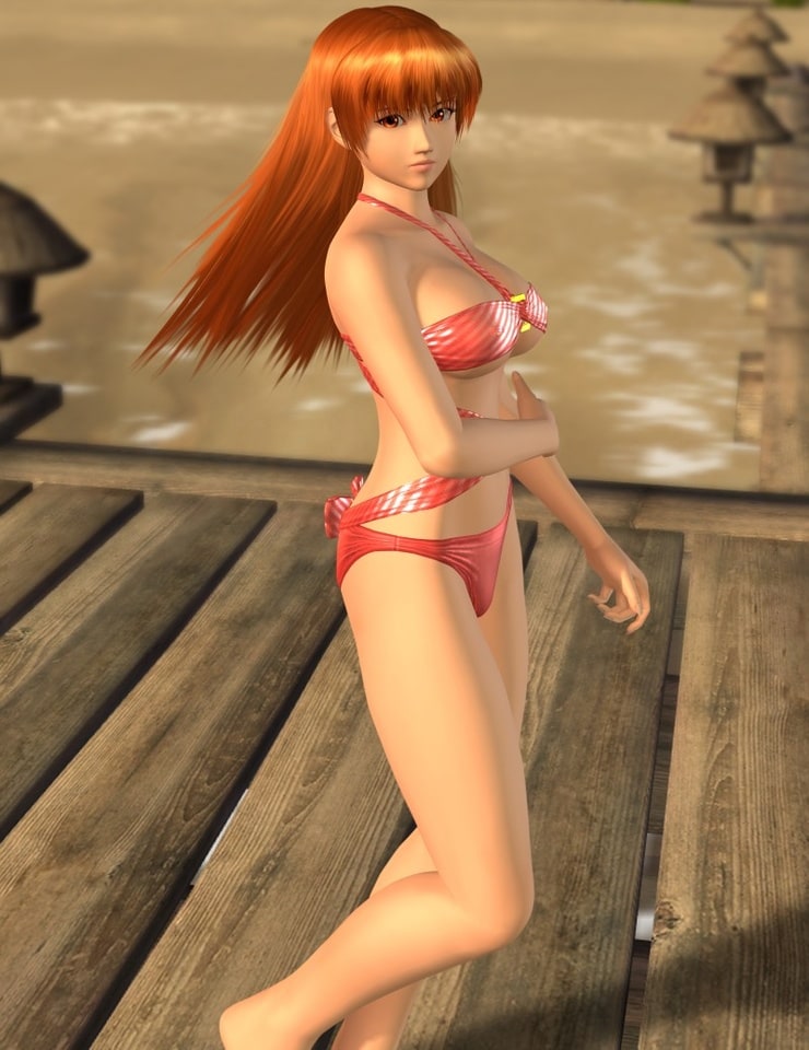 Dead or Alive Xtreme 2