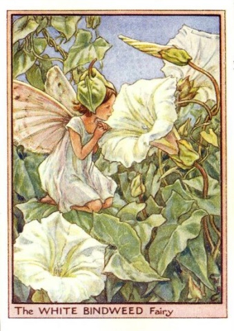 Cicely Mary Barker