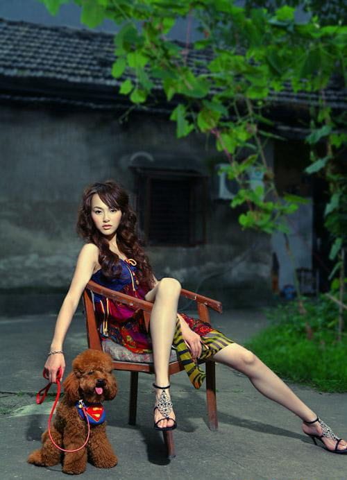 Yan Tang Yan Tang