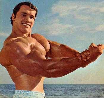 Arnold Schwarzenegger Arnold Schwarzenegger
