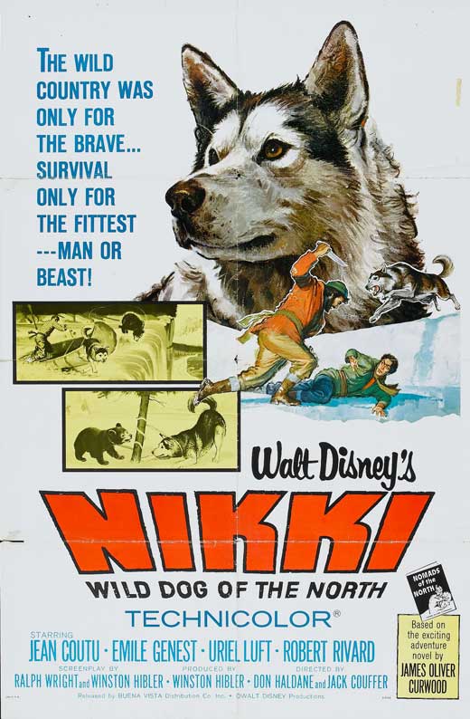 Nikki, Wild Dog of the North