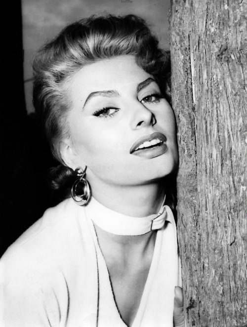 Picture of Sophia Loren