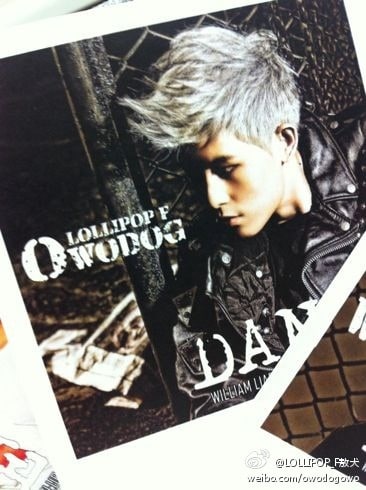 Owodog