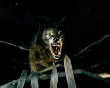 Wolfen