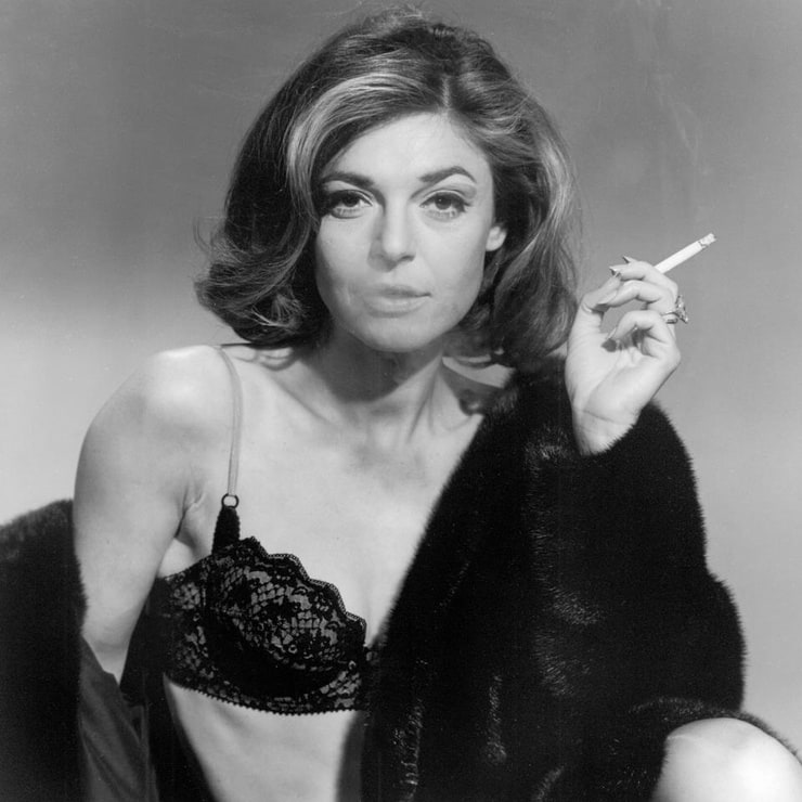 The Graduate The Graduate