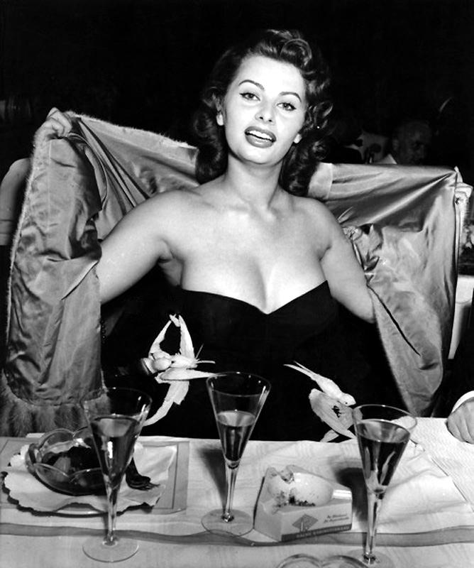 Sophia Loren