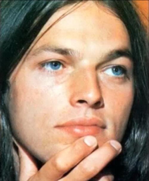 David Gilmour